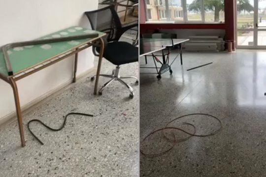 εισβολή τραμπούκων της ΔΑΠ