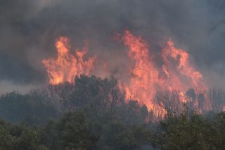 Από τη μεγάλη πυρκαγιά στον Εβρο το καλοκαίρι του 2023