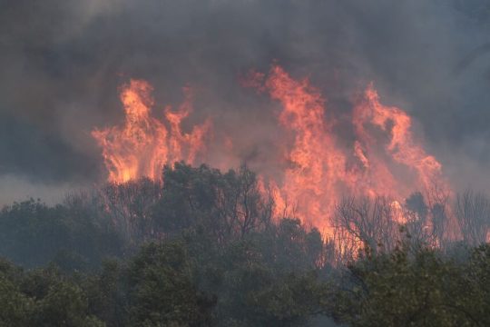 Από τη μεγάλη πυρκαγιά στον Εβρο το καλοκαίρι του 2023