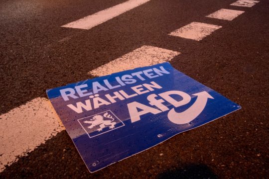AfD, Γερμανία, ακροδεξιά