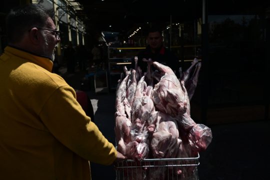 Αρνί - Πάσχα