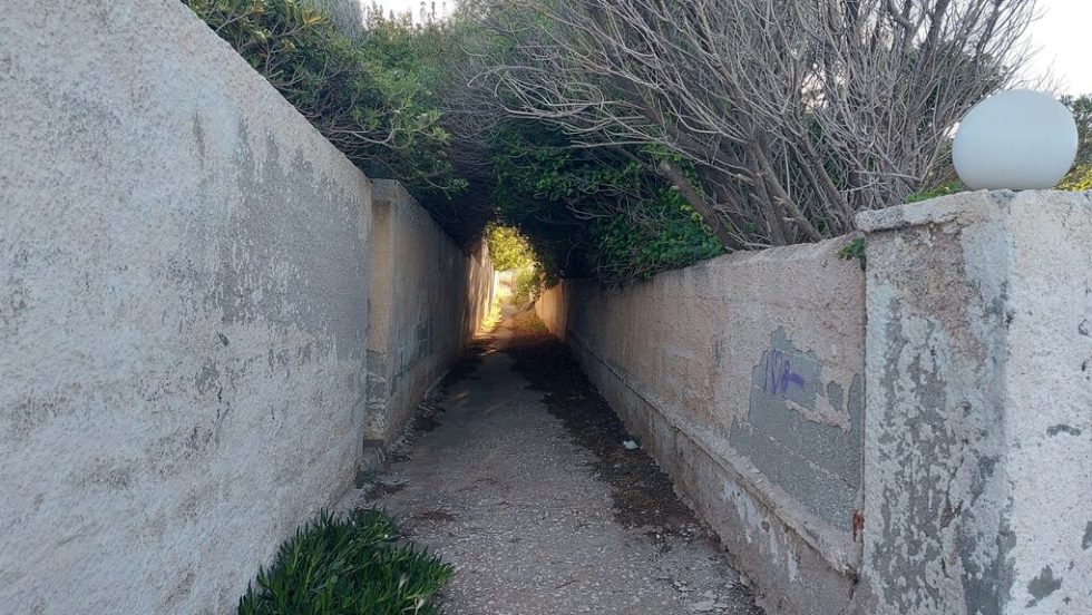 Δεν είναι κάποιο «τούνελ» αλλά ένα από τα μονοπάτια στο Μάτι που οδηγούν προς την ακτογραμμή-παγίδα