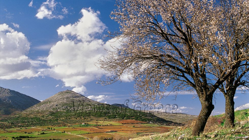 Εκδρομές στη Στερεά Ελλάδα