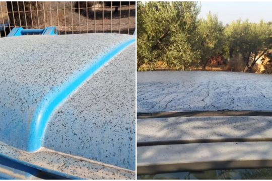 Οργιο περιβαλλοντικής ρύπανσης από μεταλλευτική εταιρεία στη Γερακινή της Χαλκιδικής