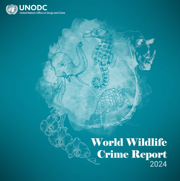 crime report-wild life