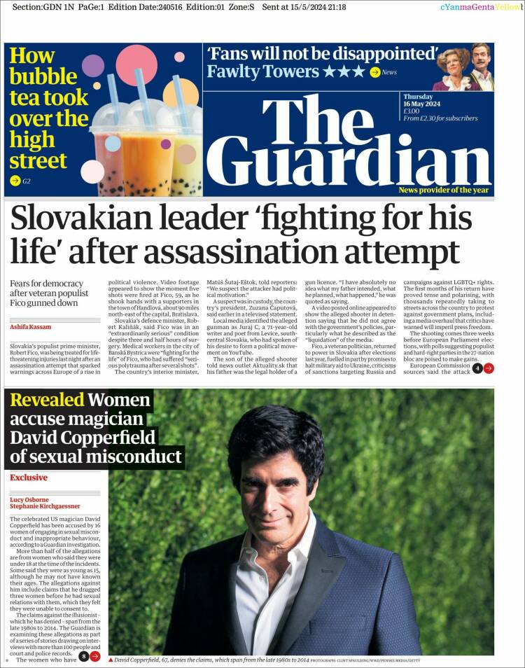 the guardian