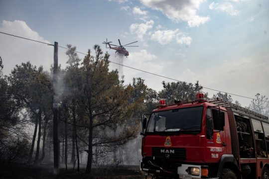 pyrosvestiki