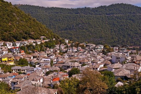 Το χωριό Παναγιά, αγκαλιά με το δάσος