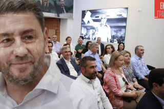 Ανδρουλάκης Νίκος