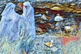 έκθεση φωτογραφίας