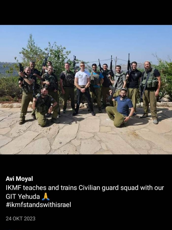 anartisi avi moyal
