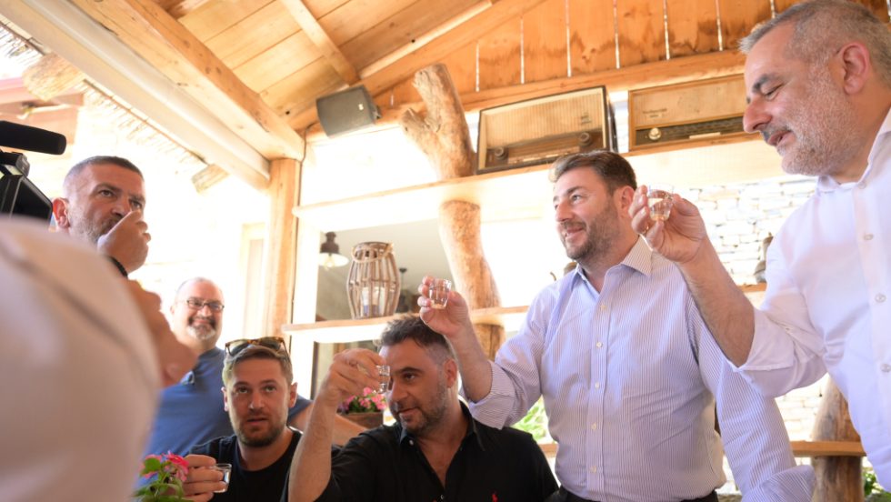 Νίκος Ανδρουλάκης