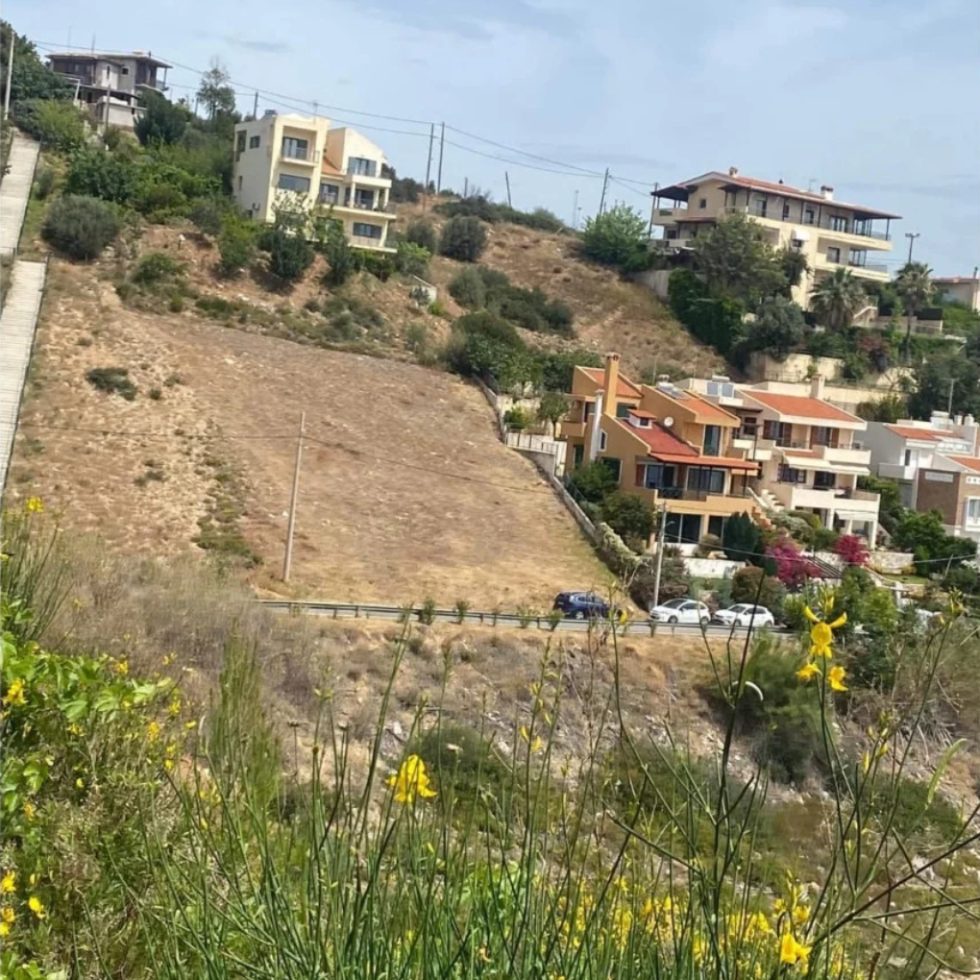 αποψίλωση, Μάτι, Νέος Βουτζάς