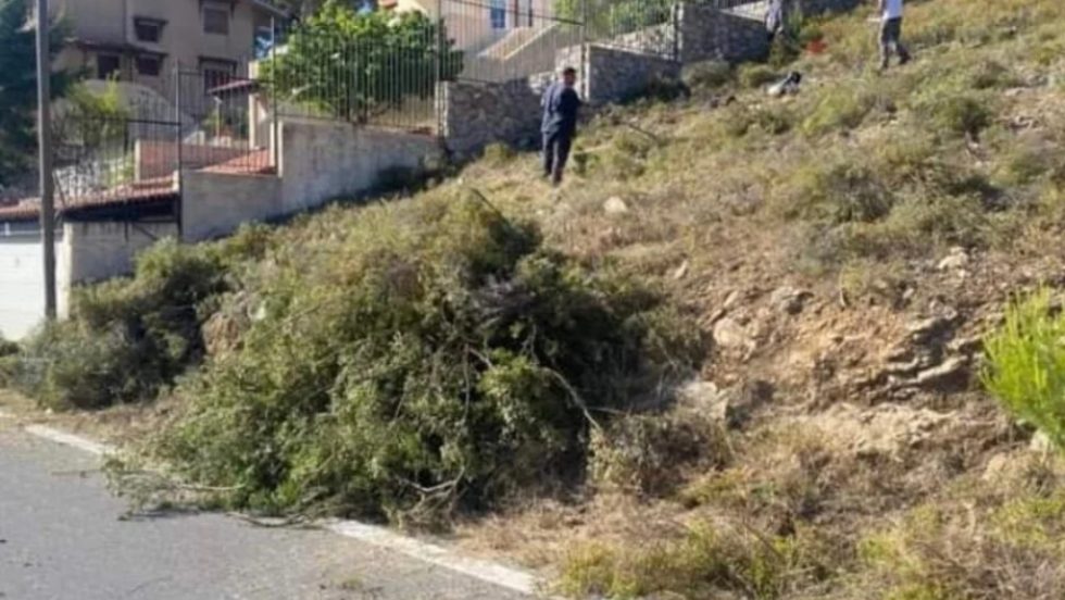 αποψίλωση, Μάτι, Νέος Βουτζάς