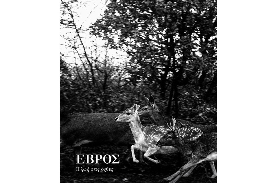 Εξώφυλλο βιβλίου