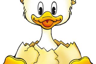 donald
