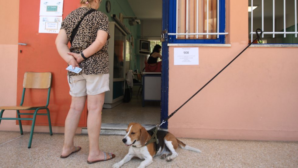 Ευρωεκλογές
