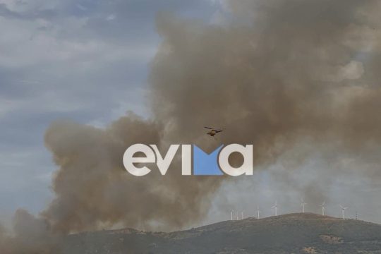 φωτιά στην Εύβοια