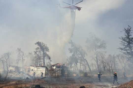 Καπνός