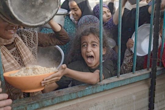 gaza-paidia