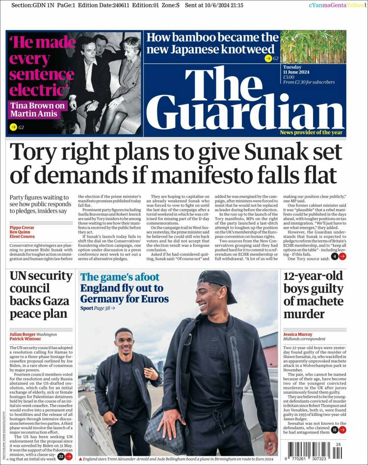 the guardian