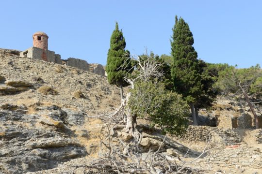 gyaros