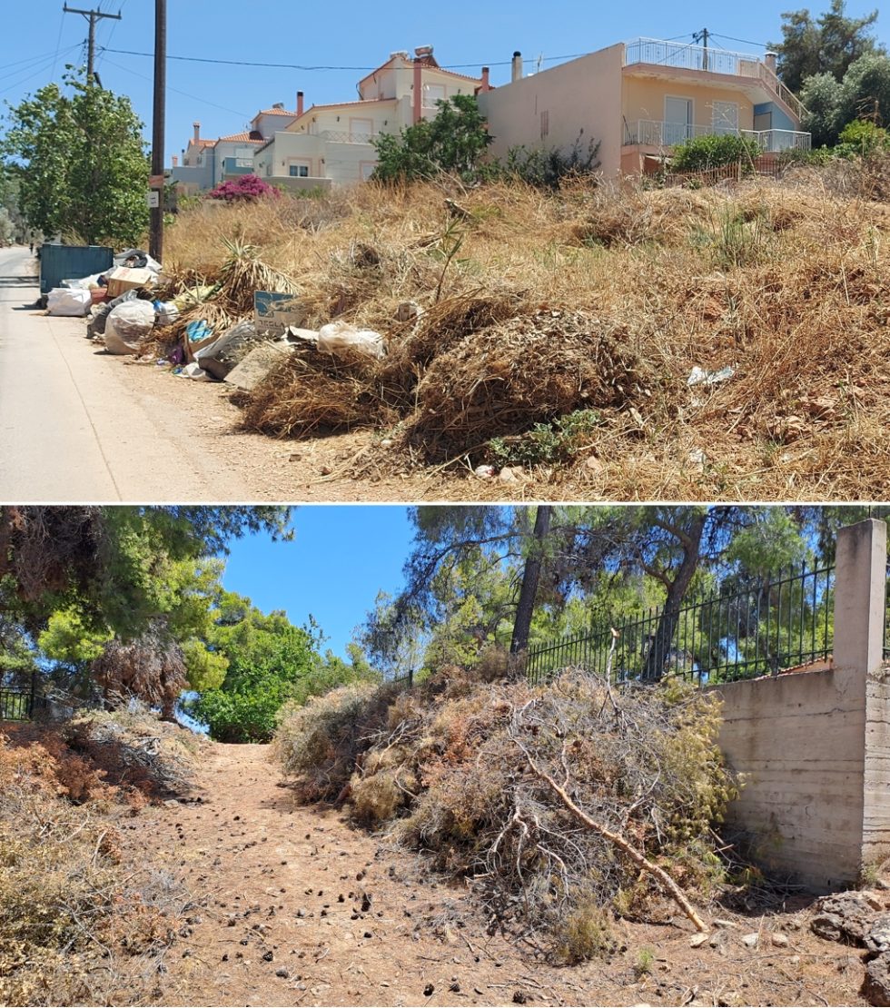 porto rafti-nea makri