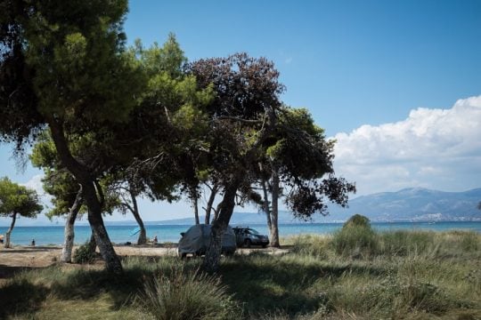 Σχινιάς