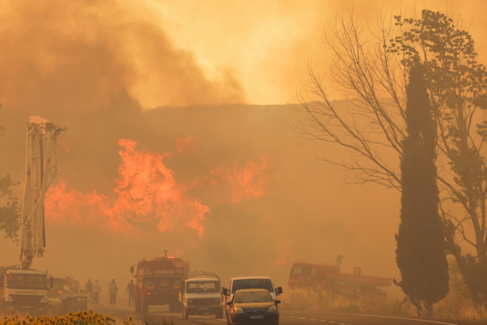 turkey-fire