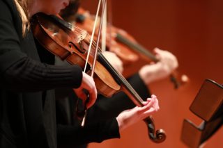 violi