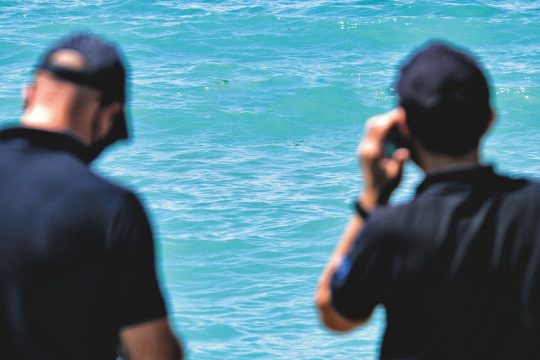 Λιμενικοί