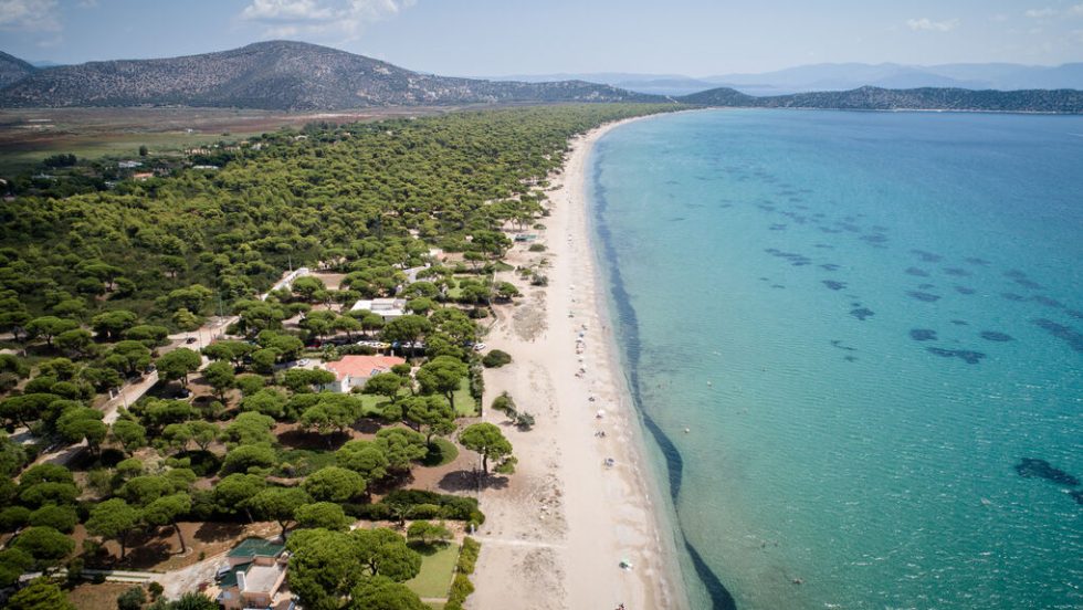 Παραλία Σχινιά