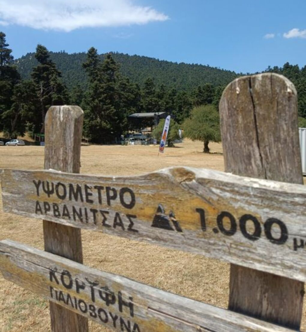 Φεστιβάλ Δάσους Αρβανίτσας