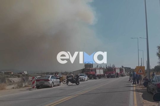 φωτιά στην Εύβοια