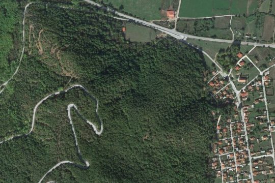 domisi