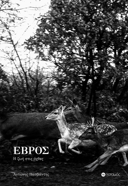 ekthesi-pasvantis