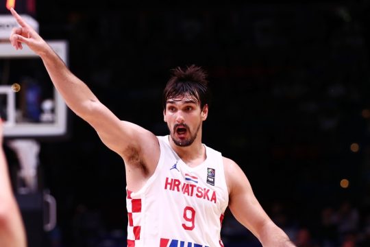 saric