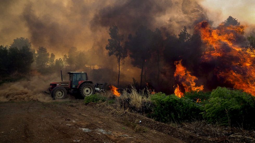 Πυρκαγιά στην κεντρική Εύβοια σε δασική έκταση, στην περιοχή Αφράτι