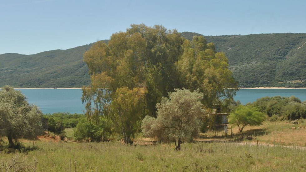 amvrakia