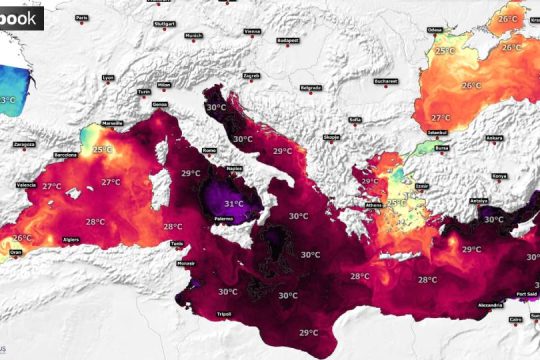 Sea surface temperature mediterranean sea