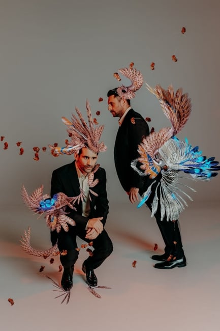 parastasi-ornithes