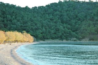 salamina