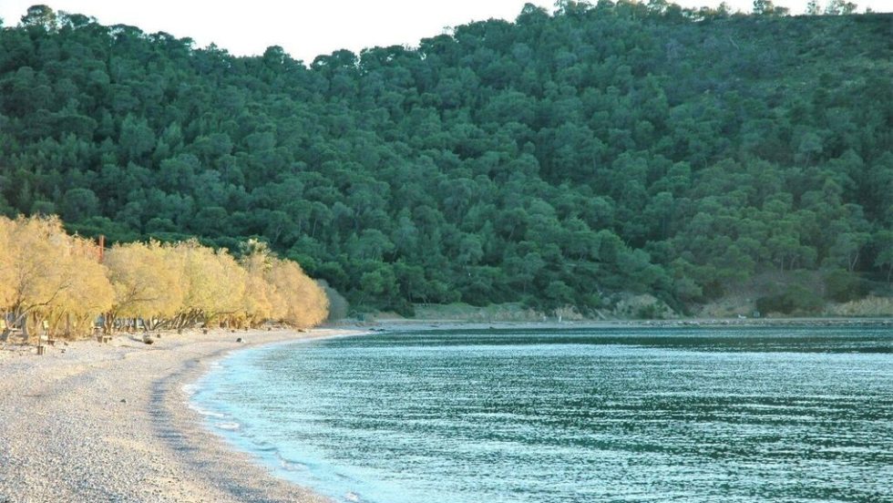 salamina