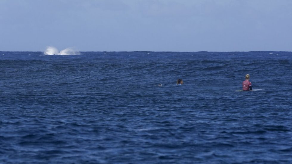 surfing-taiti