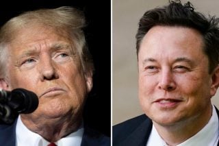 trump-musk
