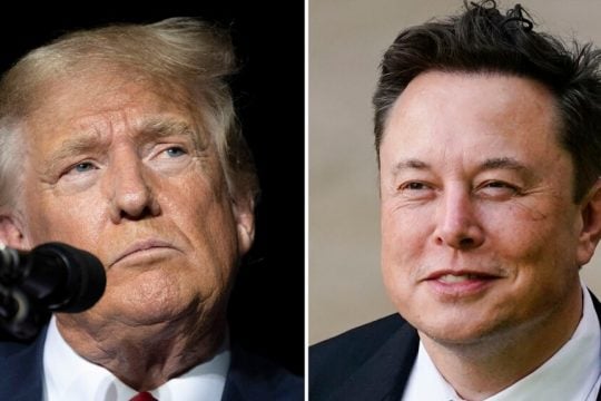 trump-musk