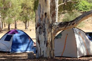 Camping
