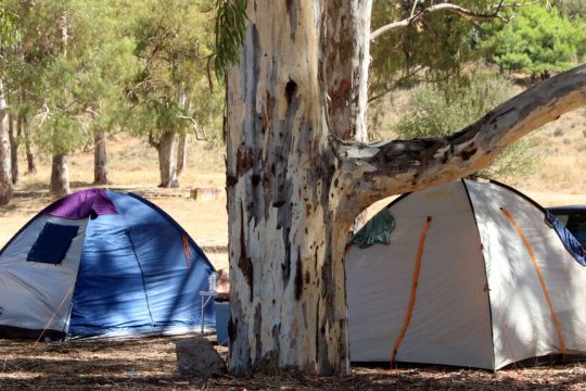 Camping