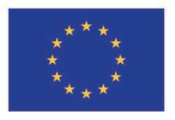 EN_Co-fundedbytheEU