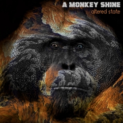 a monkey shine